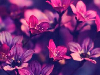 irijul's profile banner image