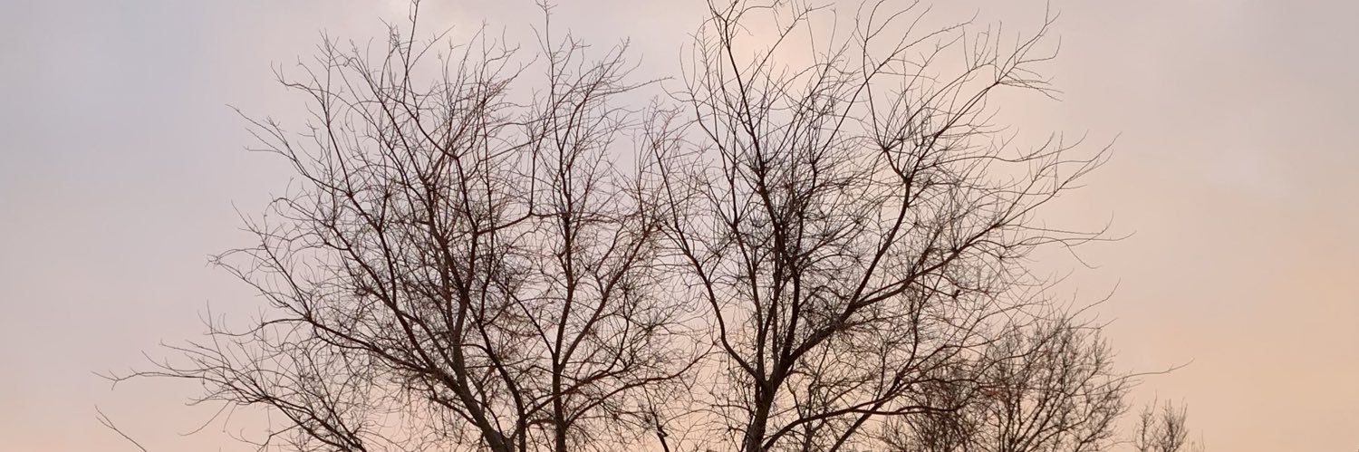 RocioBer94's profile banner image
