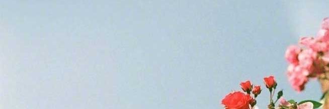 a_1rym's profile banner image