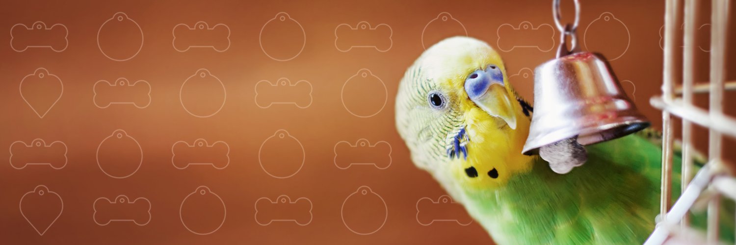 PetchaBirds's profile banner image