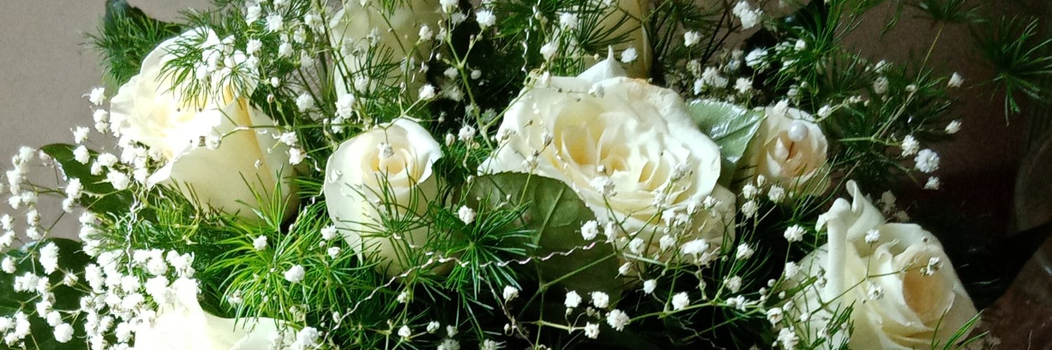 AngelaCaprioli1's profile banner image