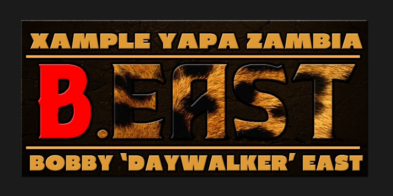 TeamXYZ1's profile banner image