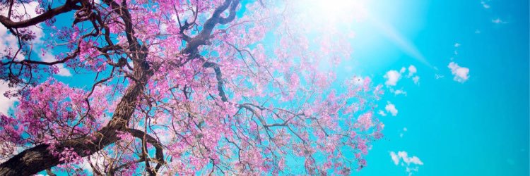 GinaMannering's profile banner image