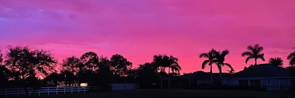 Jennie 🇺🇸 banner