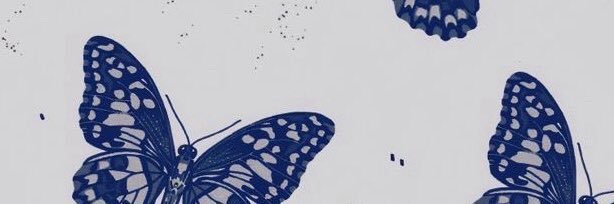 carolinecorc's profile banner image
