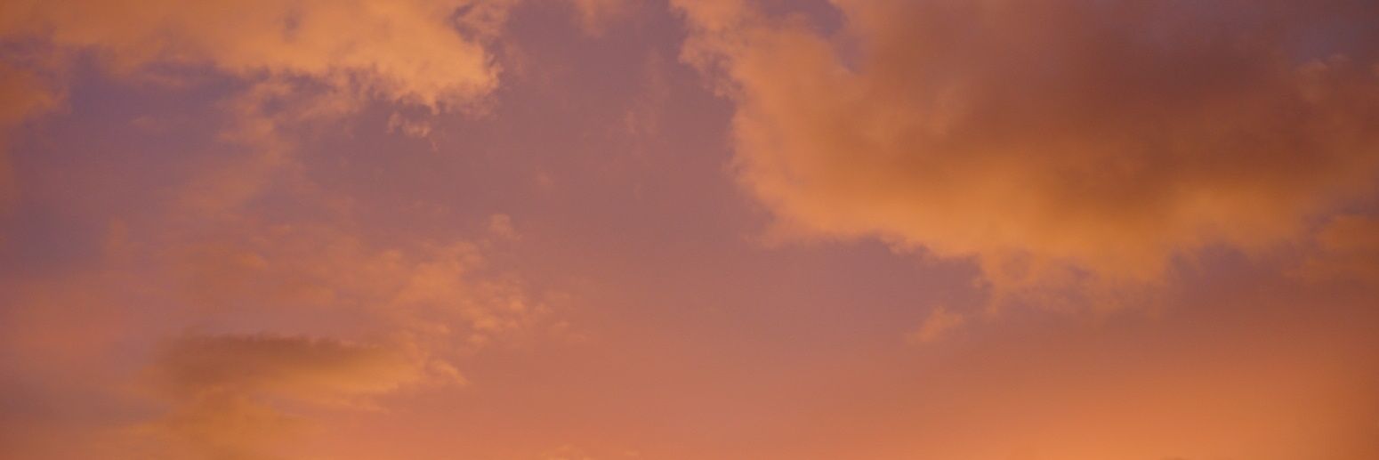 margidwi_'s profile banner image