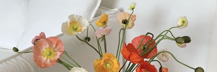EricaGValerio's profile banner image