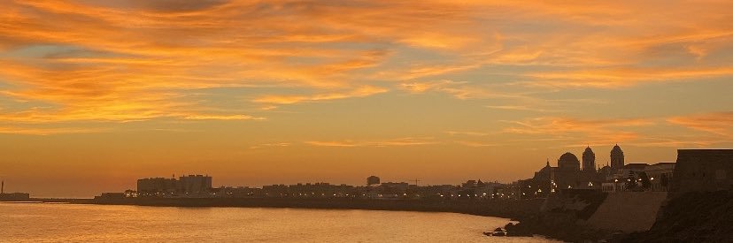 Fernando Viseras banner