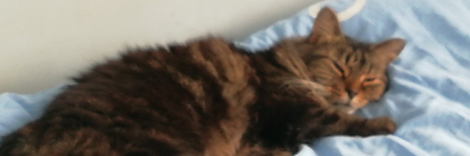 AbsoluteTosh's profile banner image