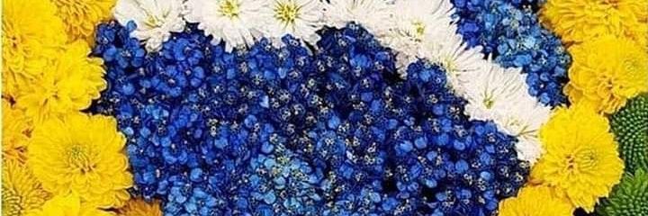 AdaiseF's profile banner image