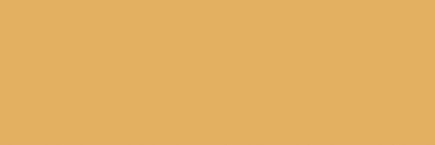 lAlecoNFT's profile banner image