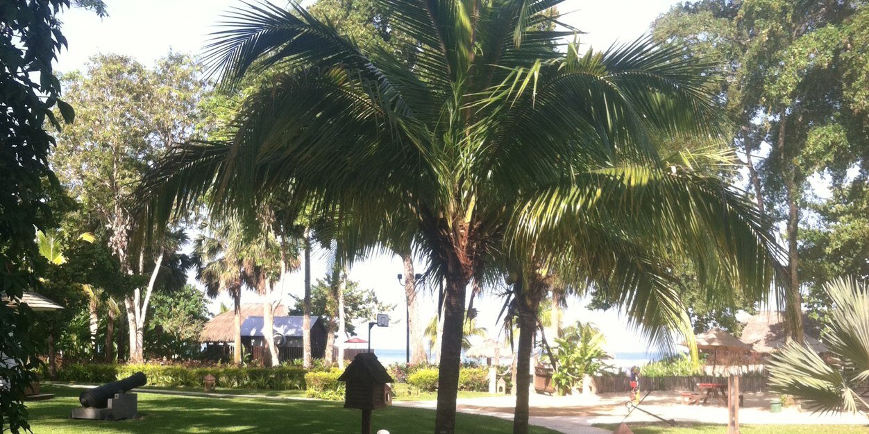 CoachClark73's profile banner image