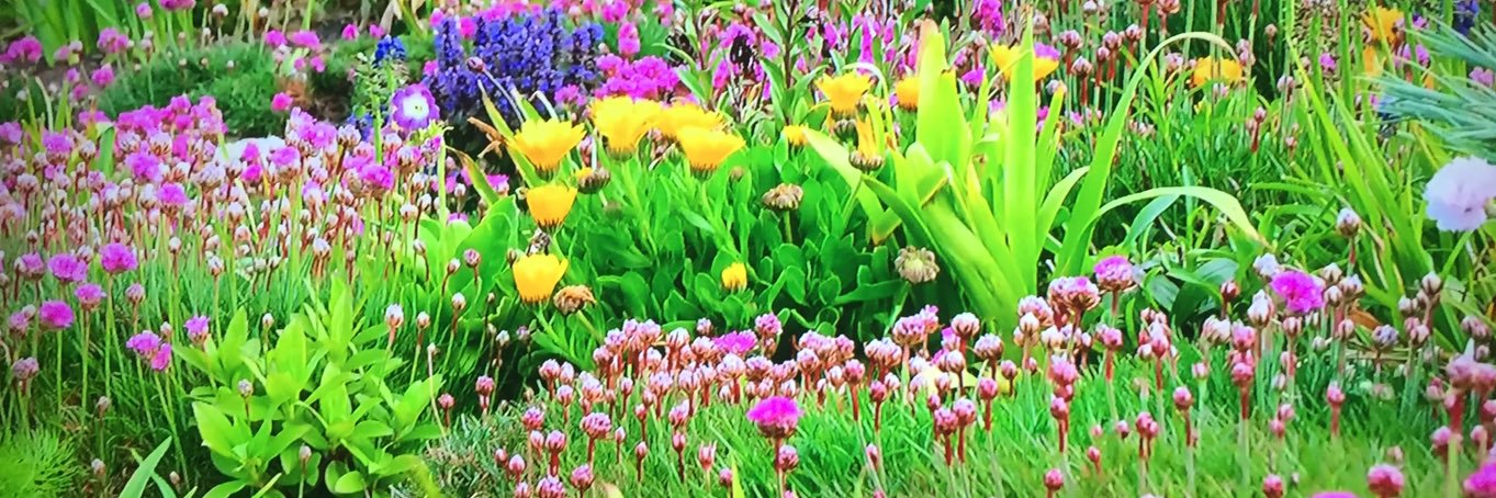 GillMPhoto's profile banner image