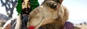Imamscamel's profile banner image