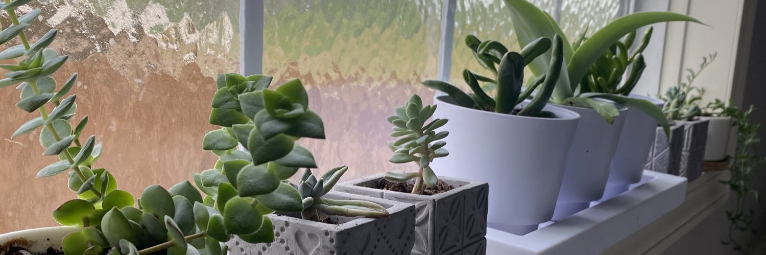 slaphappyturtle's profile banner image