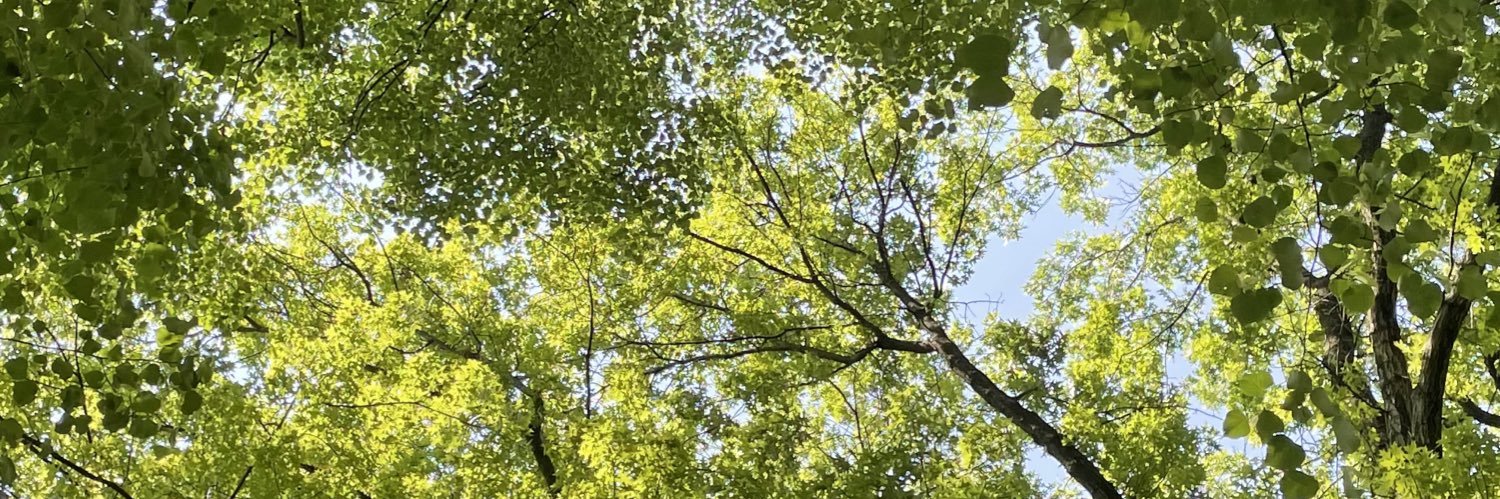 TylarMorgan's profile banner image
