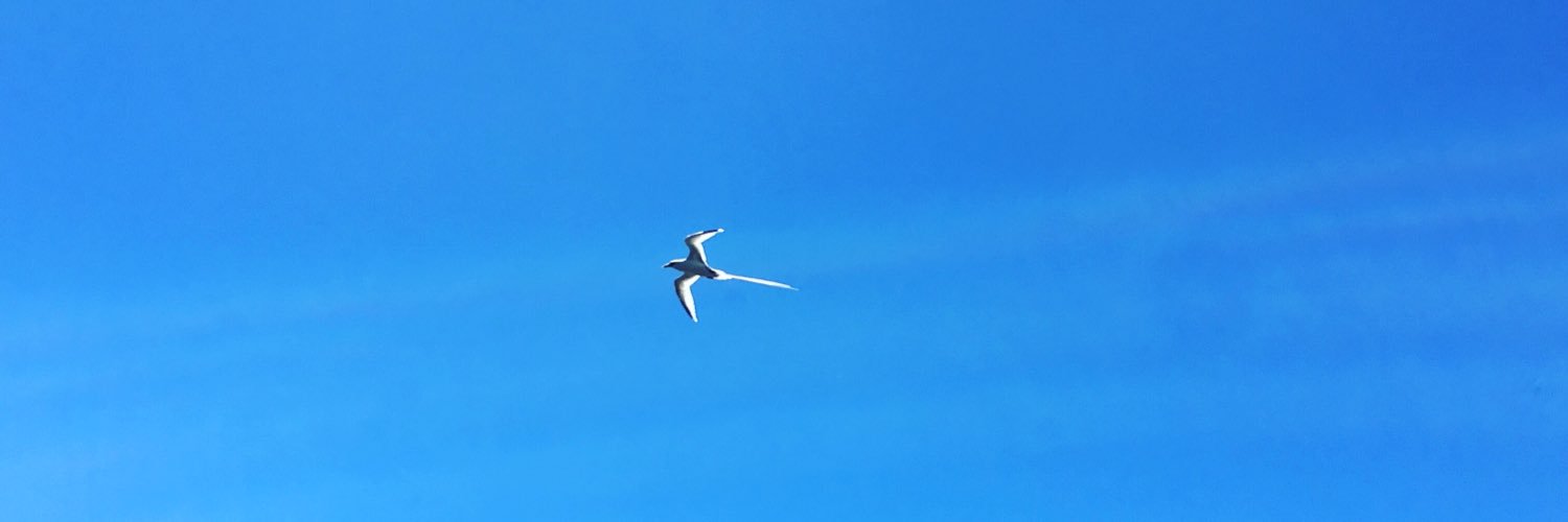 trulyrosy's profile banner image