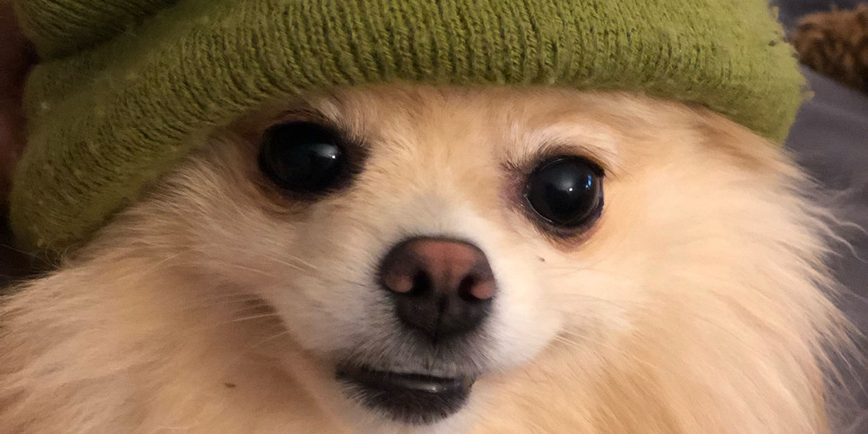 mini_dot's profile banner image