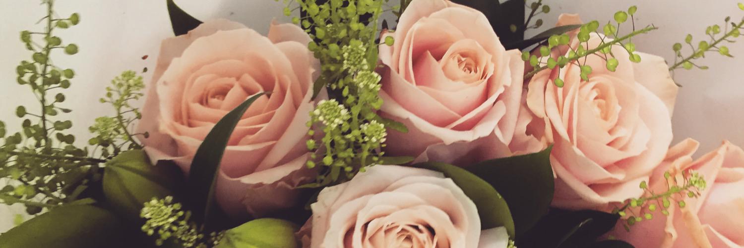 HannahBlowfield's profile banner image