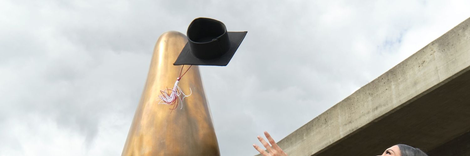nelaviz's profile banner image