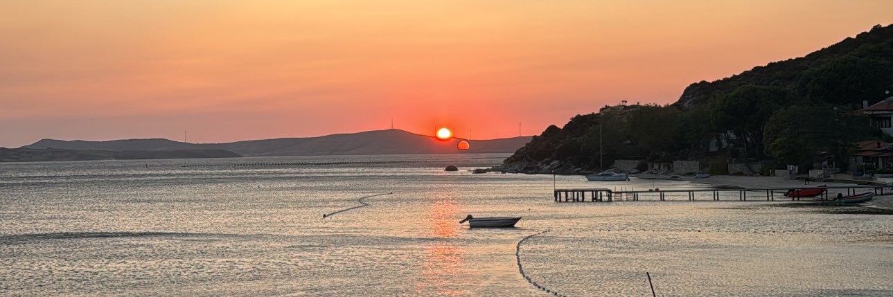 eecemmutlu's profile banner image