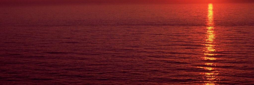 Alhuthail14's profile banner image