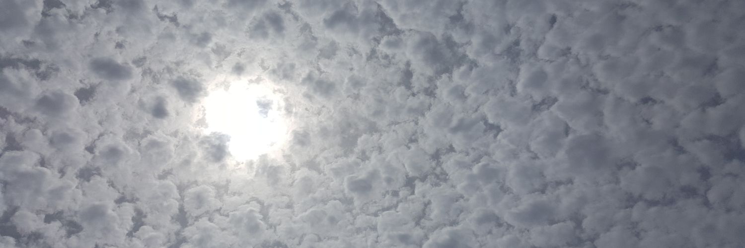 lpfan95's profile banner image