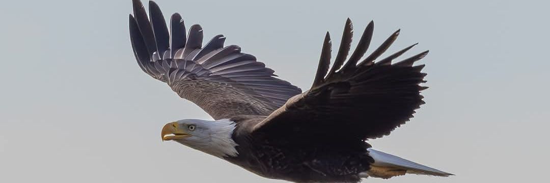 JPLEDOUX's profile banner image