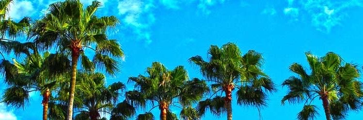 TRCFL1983's profile banner image