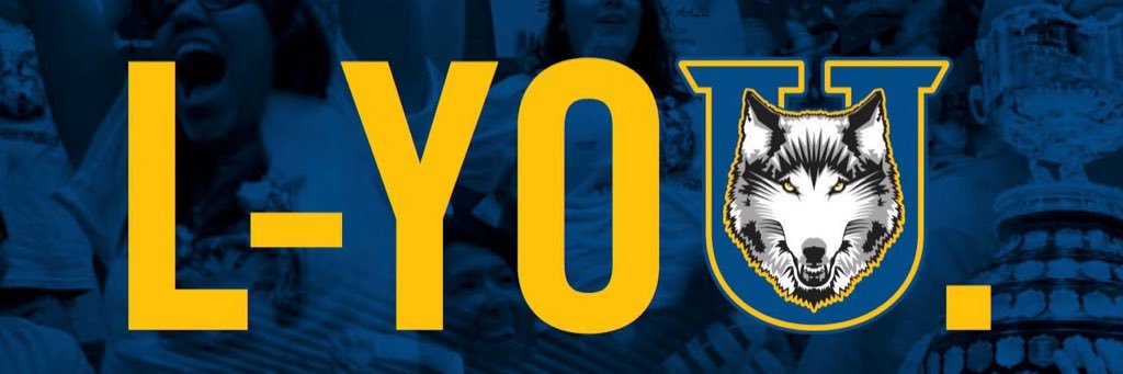 Lakehead Athletics banner