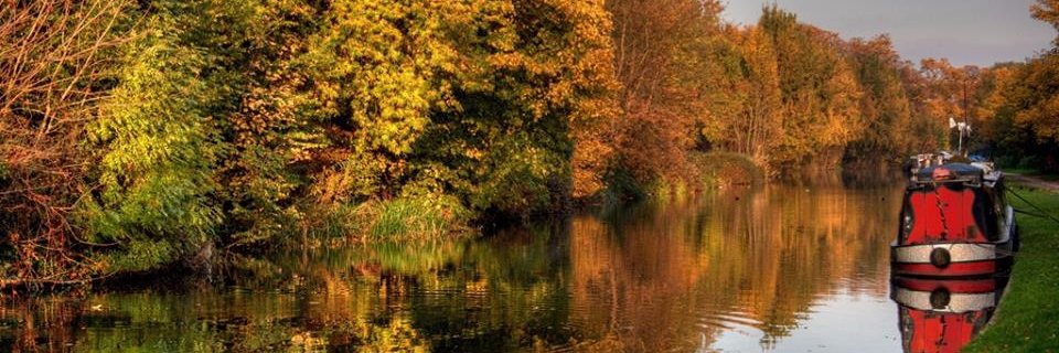 Tillergraph's profile banner image