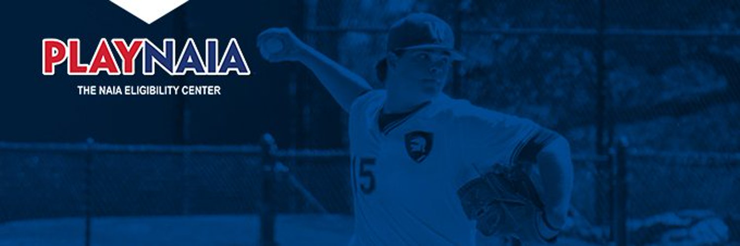 NAIA profile banner