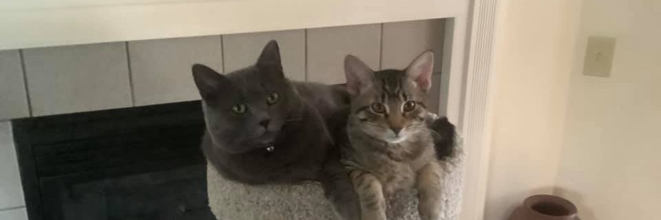 JennafahL's profile banner image