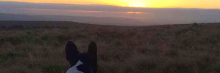 cameronallcock's profile banner image