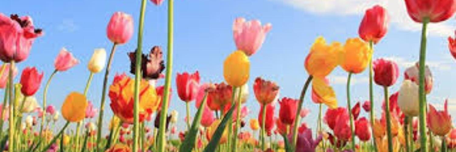 Jilpat24's profile banner image