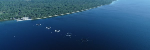 CDNaquaculture Profile Banner