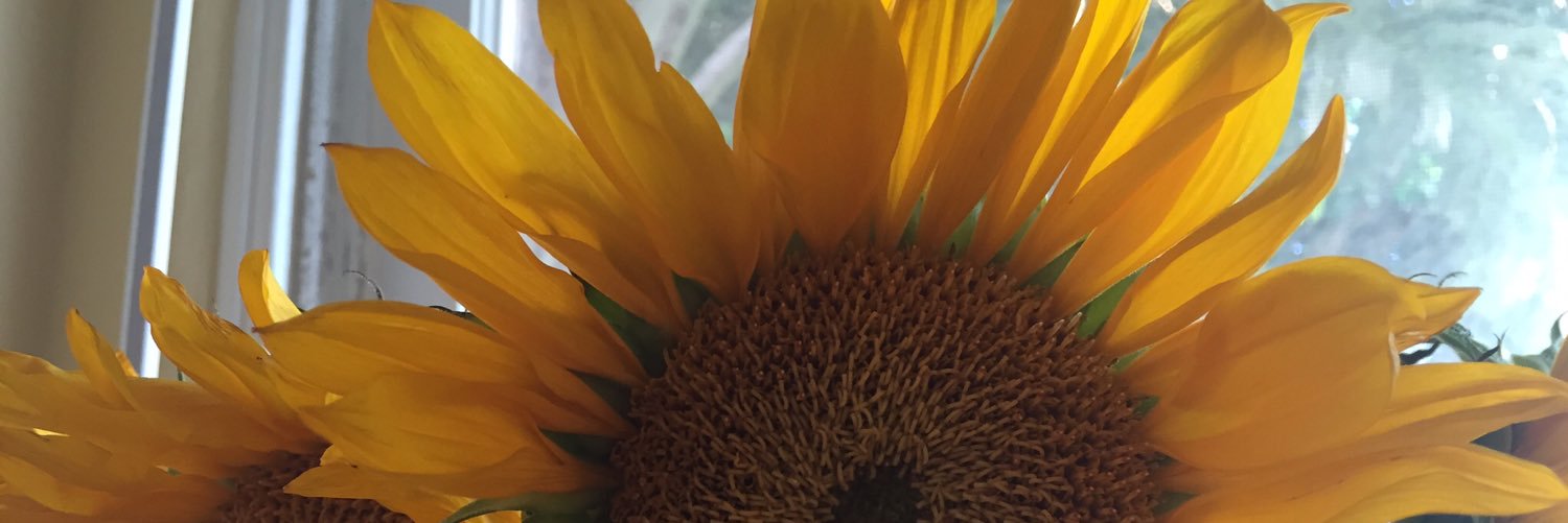 briiskii__'s profile banner image