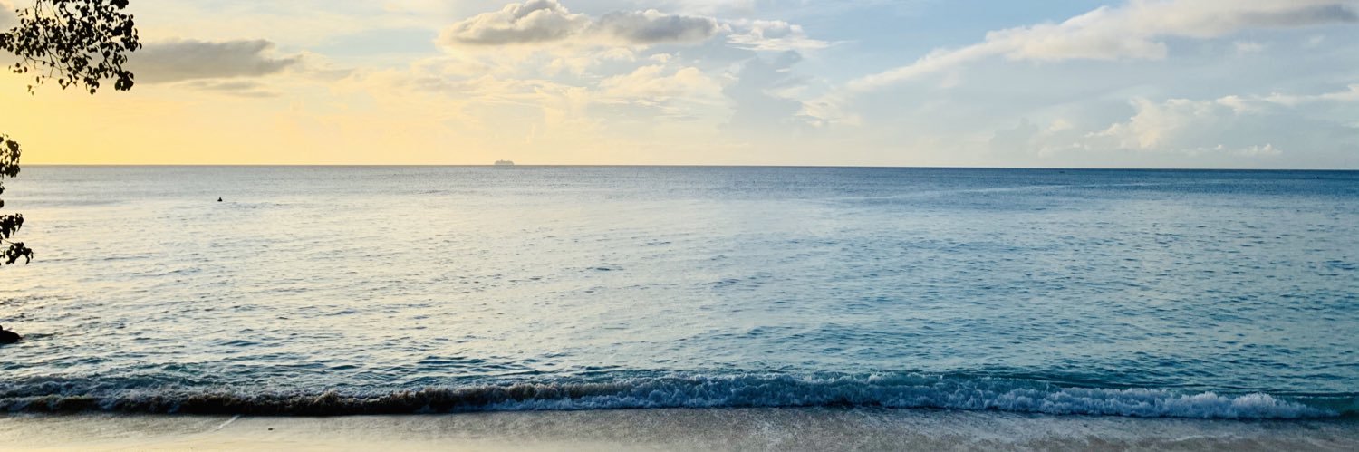 DrHazel-AnneMJohnson-Marcus banner