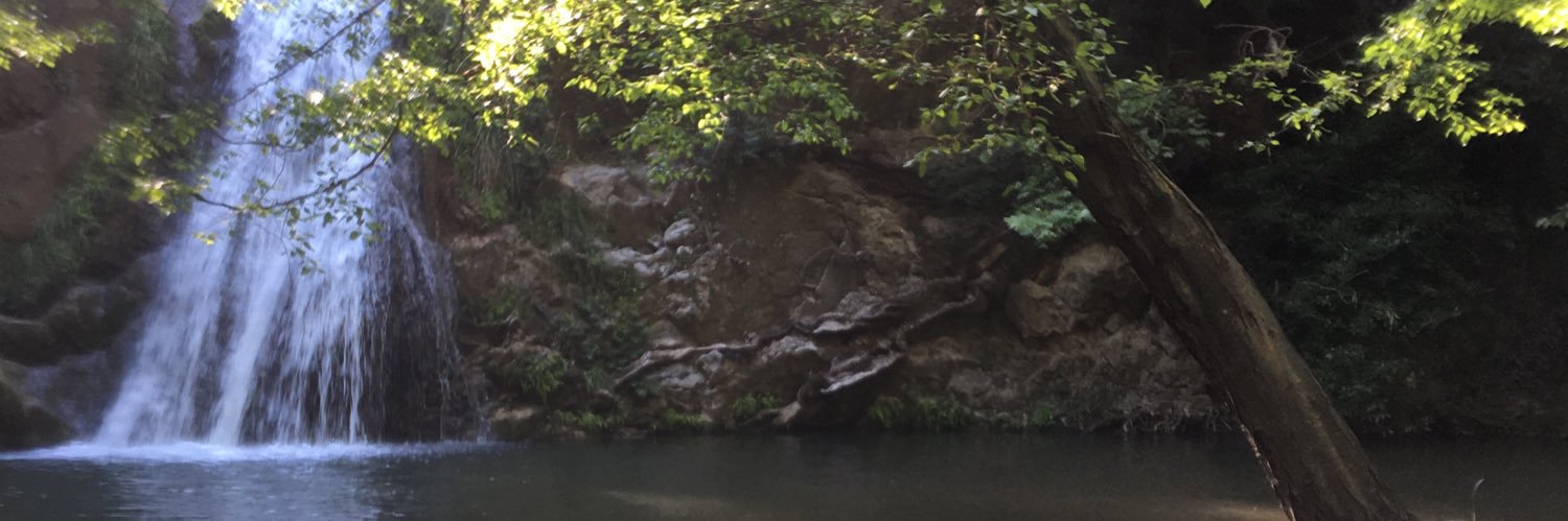 özgür özdemir banner