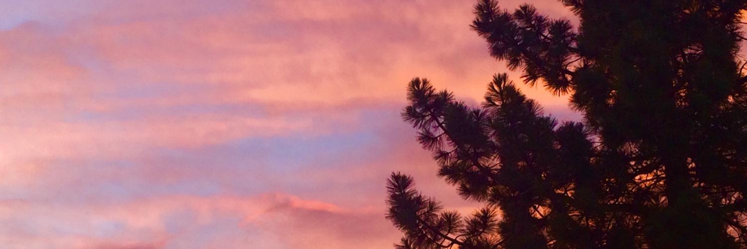 ReneeSandoval's profile banner image