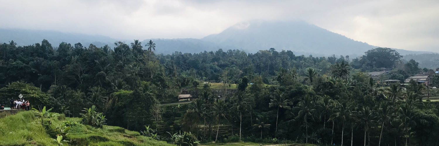 chefronbali's profile banner image