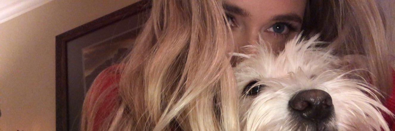 TaylorHaynes1's profile banner image