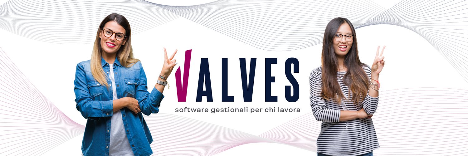 softwarevalves's profile banner image