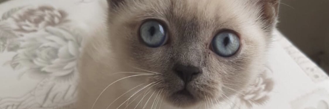 beanky7's profile banner image