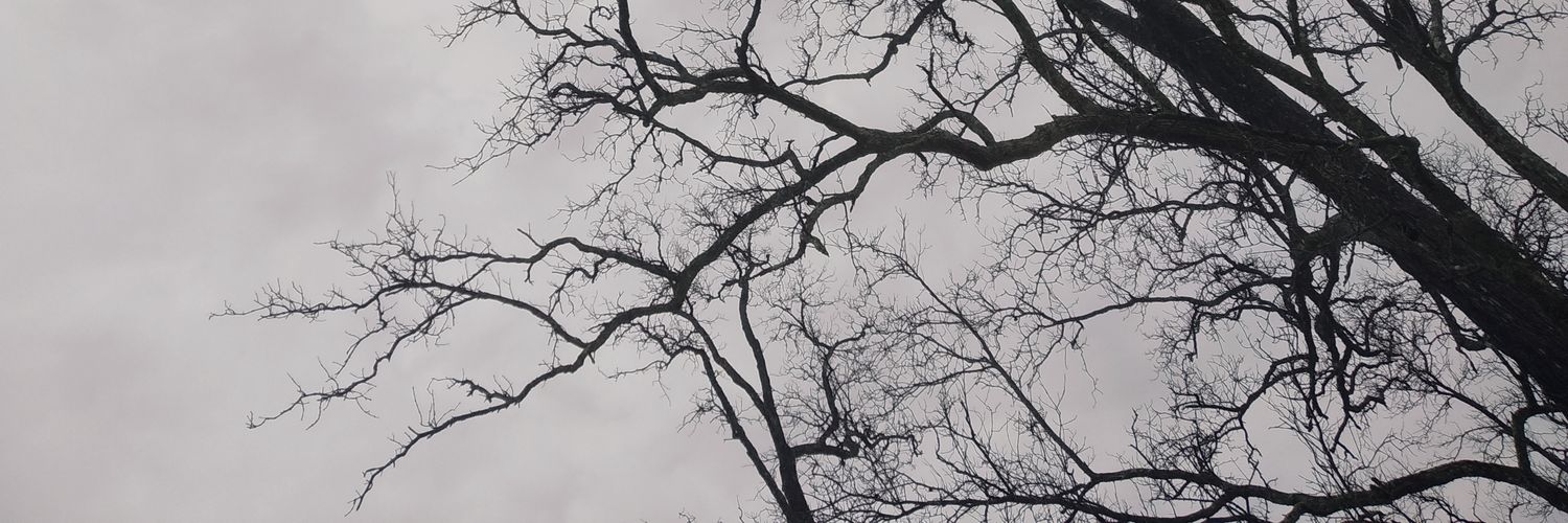 FFirlani's profile banner image