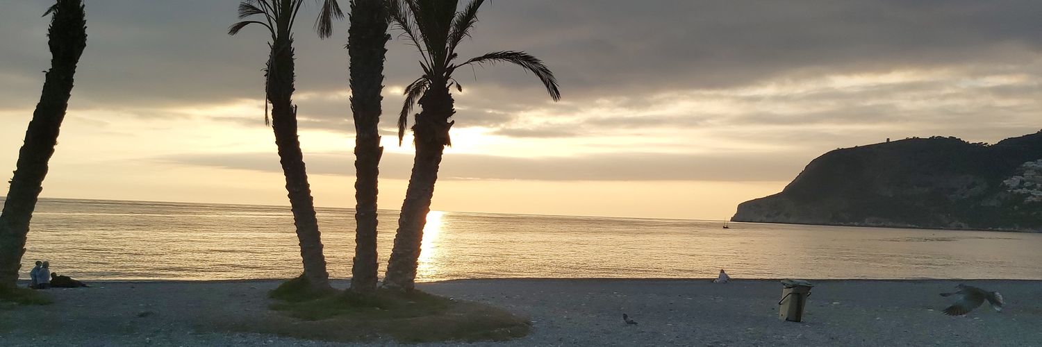 quijala's profile banner image