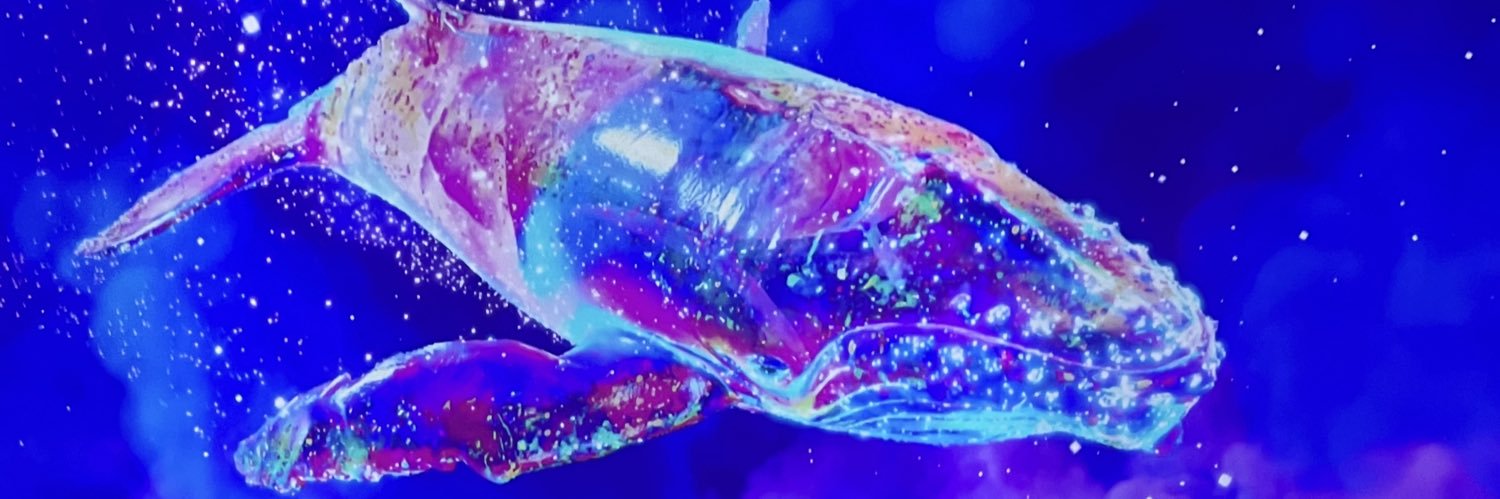 Ericz16's profile banner image