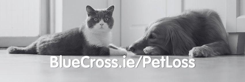 IrishBlueCross's profile banner image