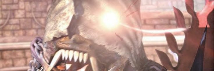 thesealcat's profile banner image