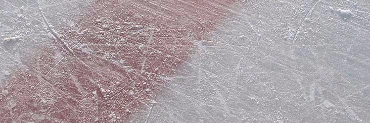 Barry Rothman banner